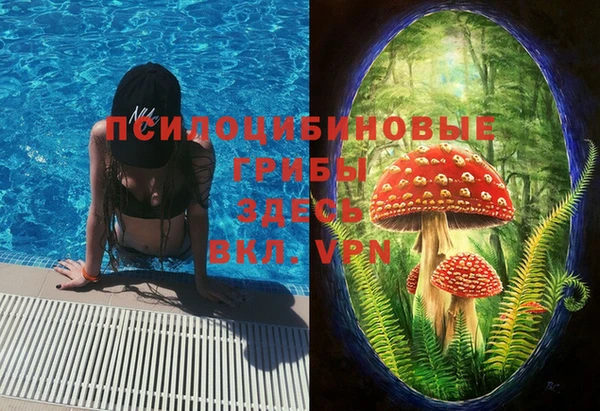 не бодяженный Володарск