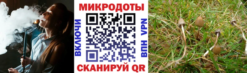 Галлюциногенные грибы Cubensis  мега как зайти  Канск 